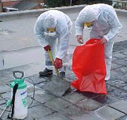 HSE Asbestos